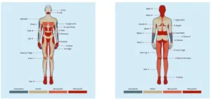 Tattoo removal pain chart